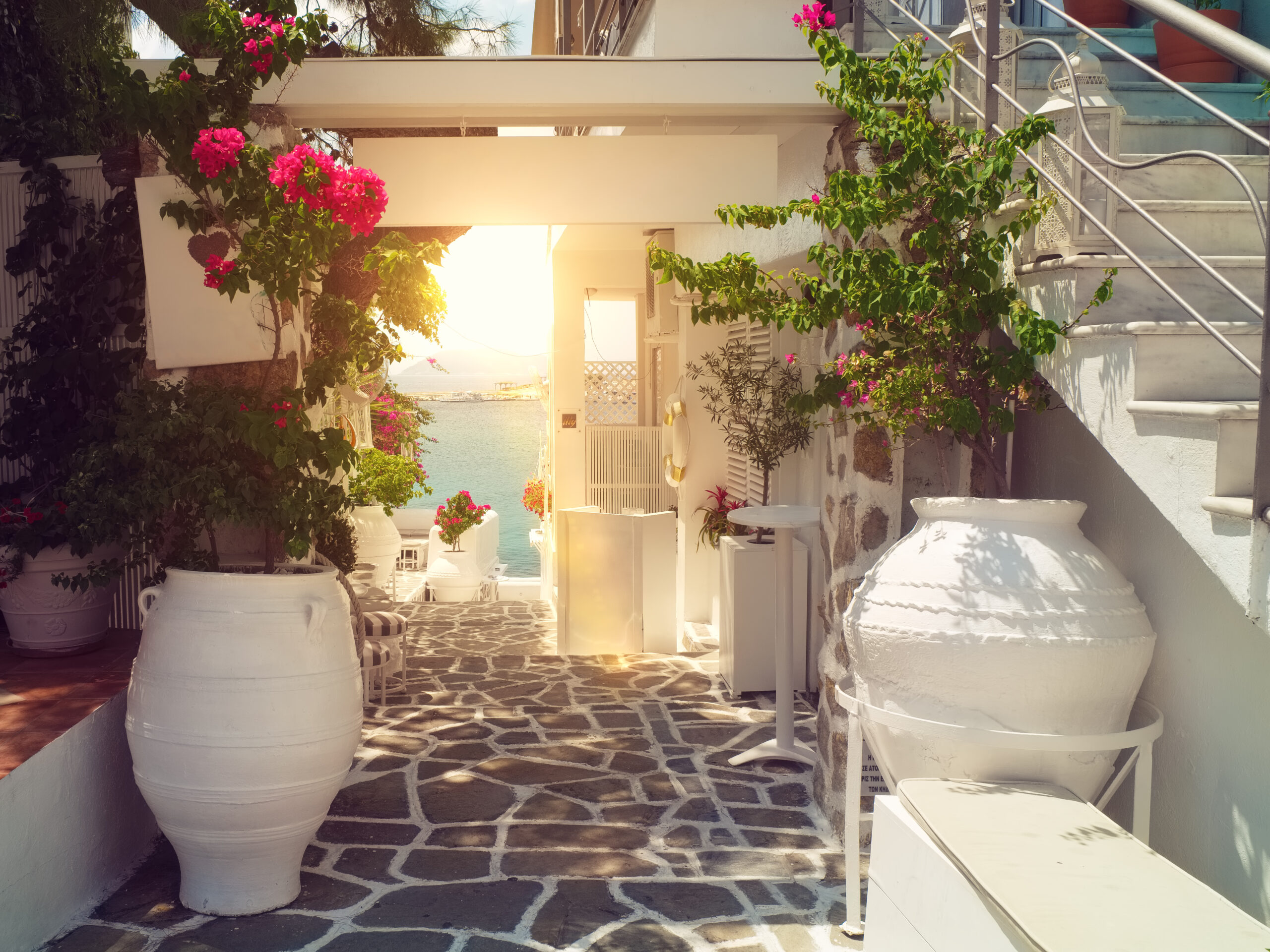 Traditional greek yard - airbnb